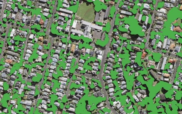 Tree and shrub cover mask over a residential area